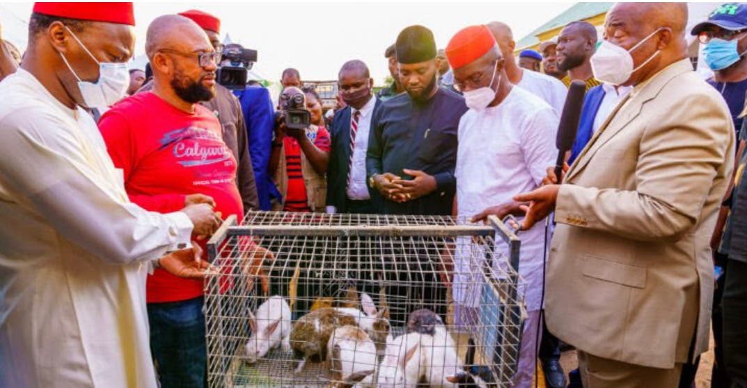 Imo State Governor empowers unemployed youths with rabbits
