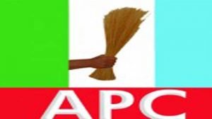 APC In Edo