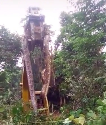 Jaw dropping footage shows "world