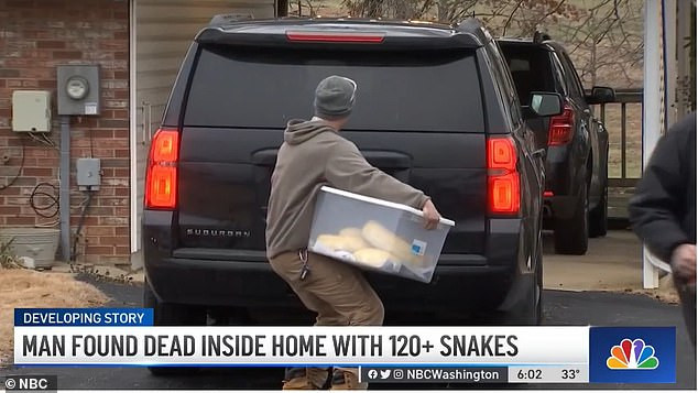 Man is found dead in his home surrounded by 125 caged snakes including black mambas and a 14-foot Burmese python (photos)