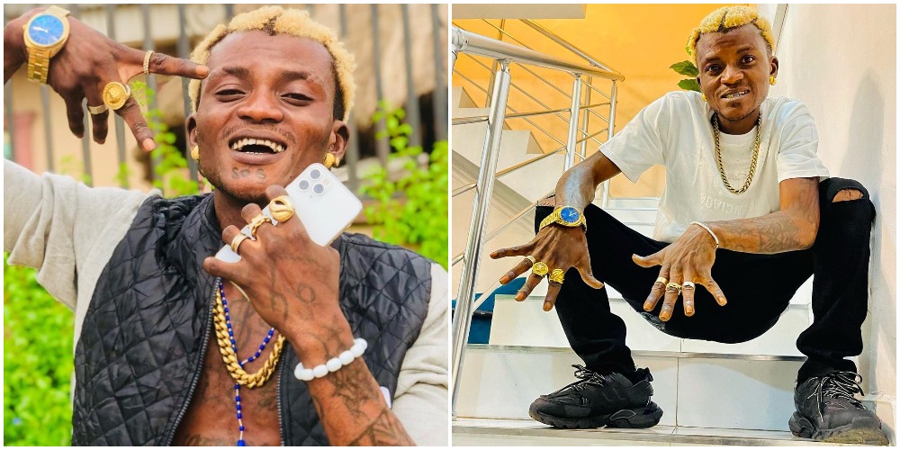 Zazu Zeh Portable Biography And Net Worth 2022
