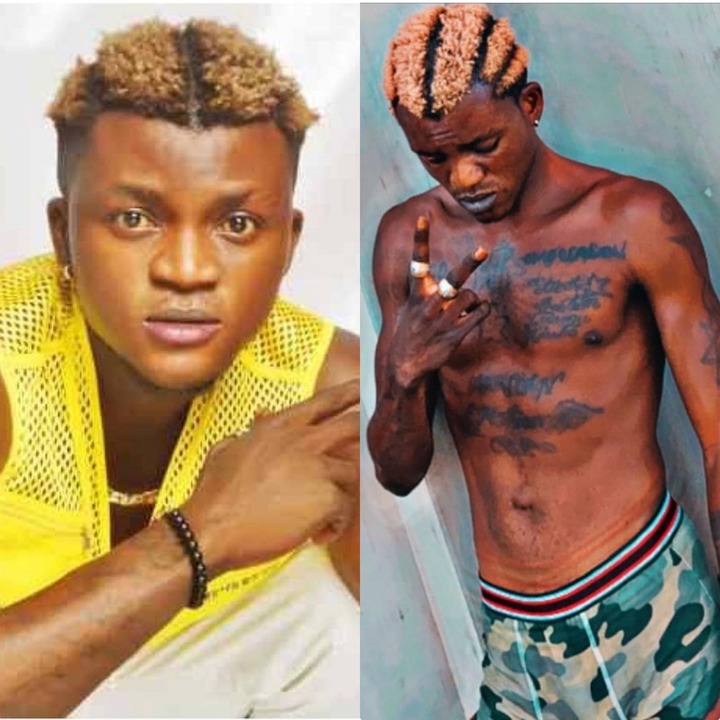 Zazu Zeh Portable Biography And Net Worth 2022