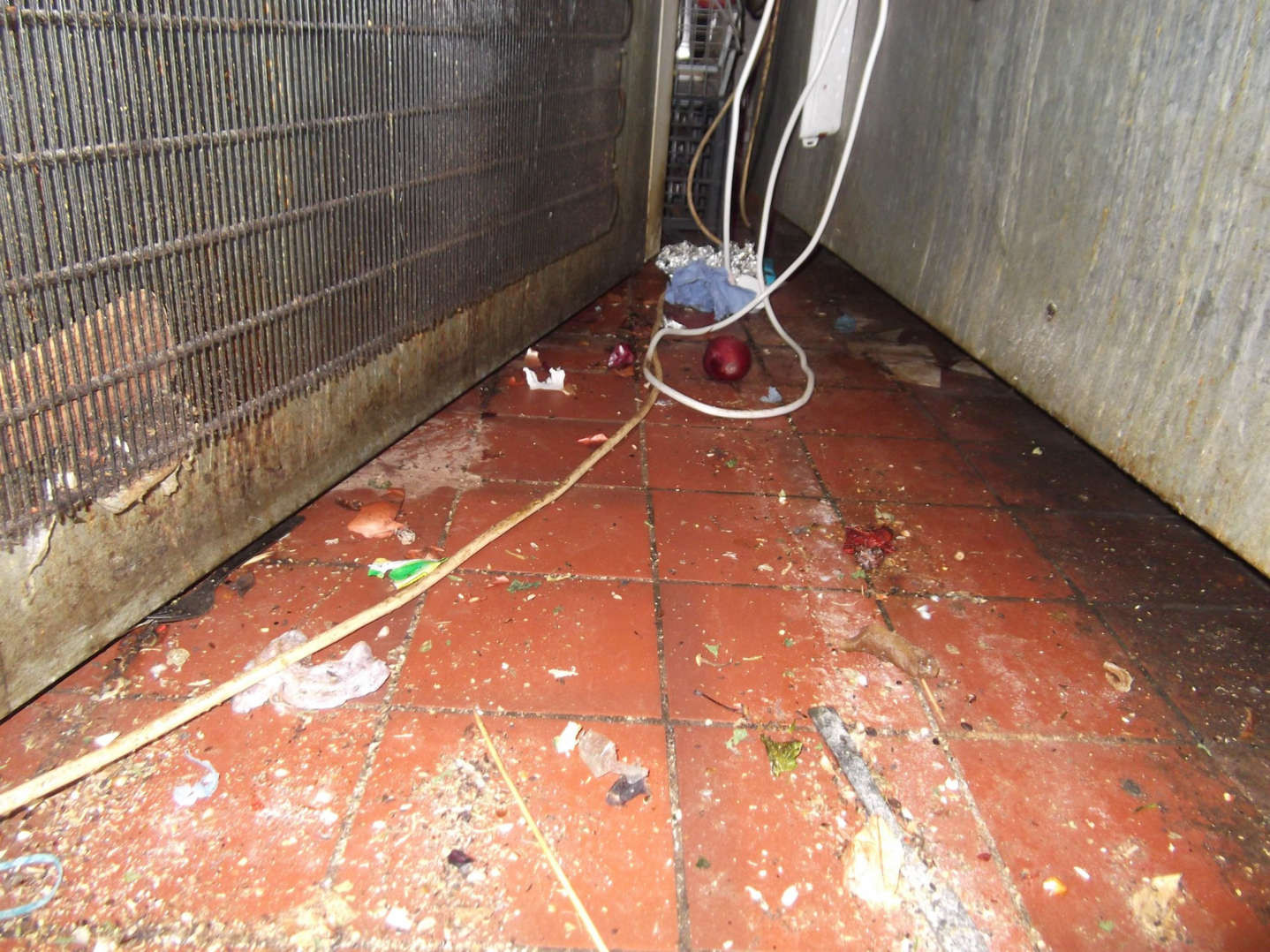 UK-based Nigerian restaurateur fined for claiming that the 
