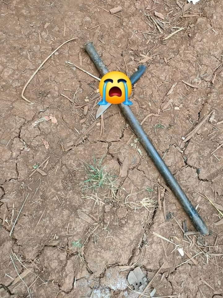 21-year-old mother stabs her two children, killing one before attempting suicide 