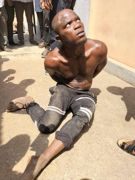 Security guard arrested for allegedly stealing his employer?s N15m worth of jewelry?