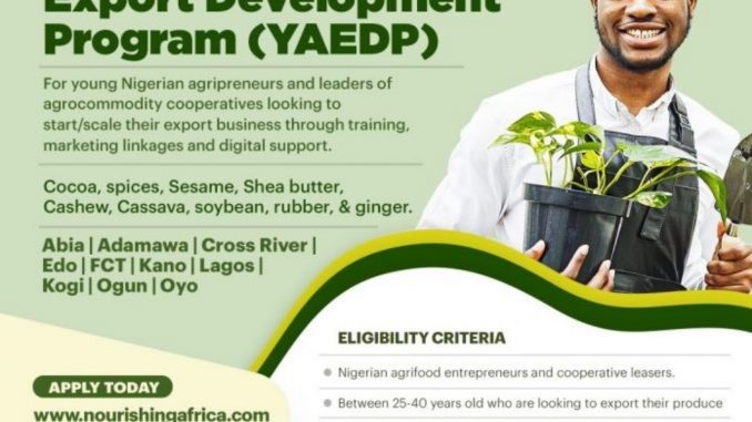 How to Apply for YAEDP Nigerian Youth N800k Grant