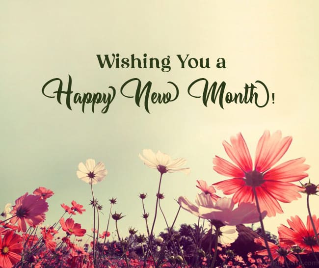 Happy New Month Wishes for Friends