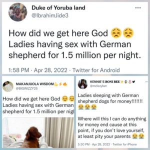 Lagos Girls Accused Of Having S*x With German Shepherd Dogs For ₦1.5 Million #Doggy