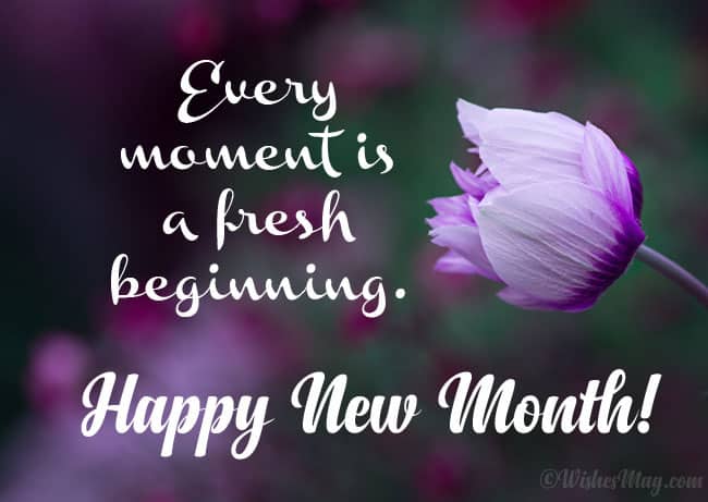 HappyNewMonth May this Month Of May be filled with happiness and productive  Days beyond.. Happy New Month From…