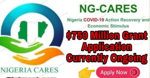 NG Cares Registration Portal Open For Nigerians – Apply Now
