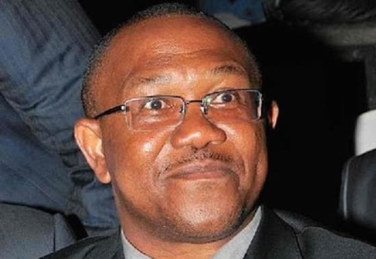 Peter Obi Profile, Biography Of Peter Gregory Obi