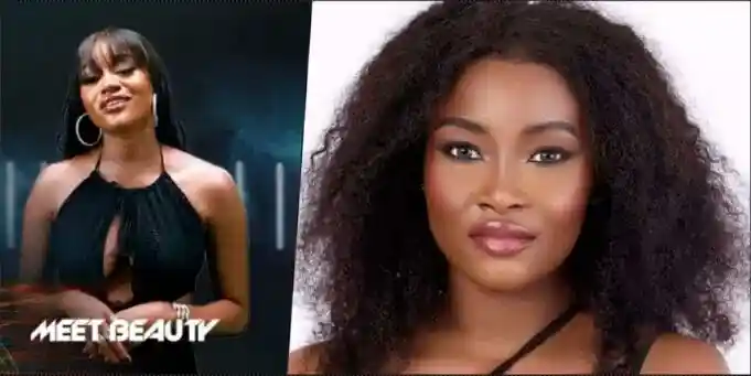 BBNaija Season 7: Beauty Big Brother Naija Season 7 Housemates