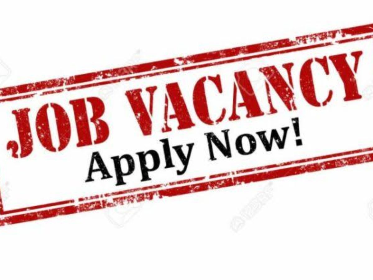 Legal Adviser Needed At Natafamdavid Consulting Nigeria Limited - Apply Now