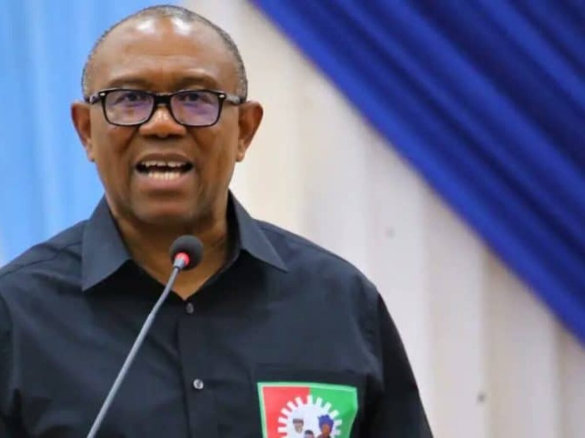 Federal Government Speaks On Bailing Peter Obi Out Of Detention |Golden News