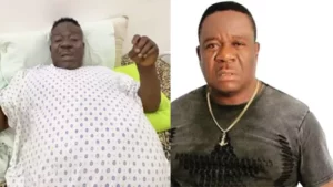 Mr. Ibu