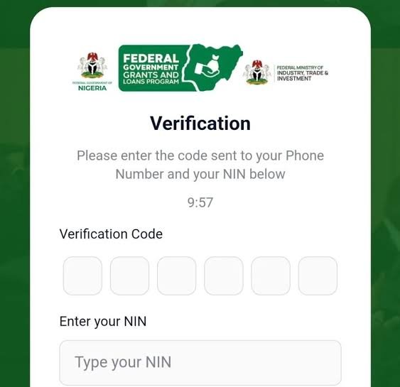2 Simple Way To Verify Your NIN For FG N50,000 Grant Application