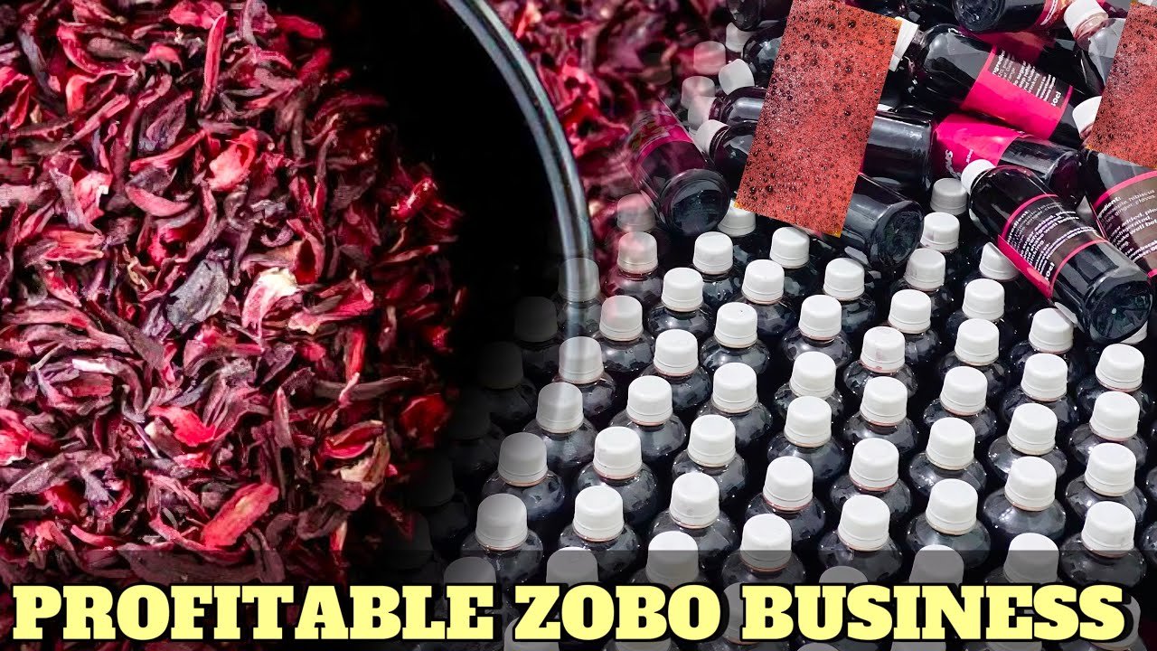 How to Start Zobo Business in Nigeria